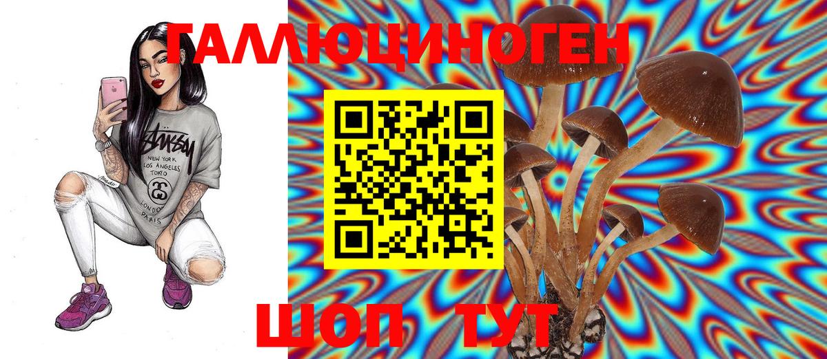 Псилоцибиновые грибы Psilocybe Аша