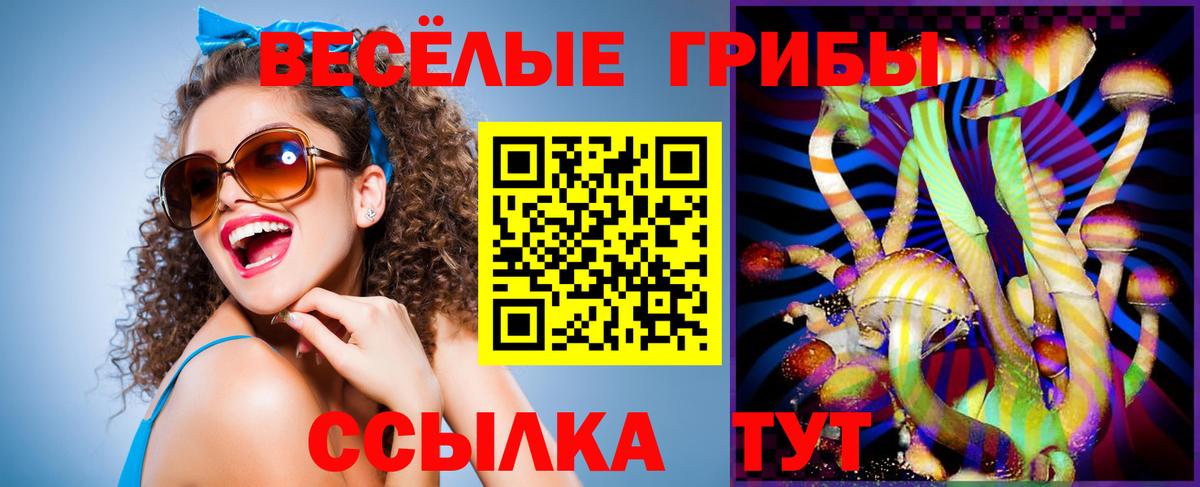 Аша  где можно купить   Псилоцибиновые грибы ЛСД  Вход с VPN  Псилоцибиновые грибы Psilocybe 